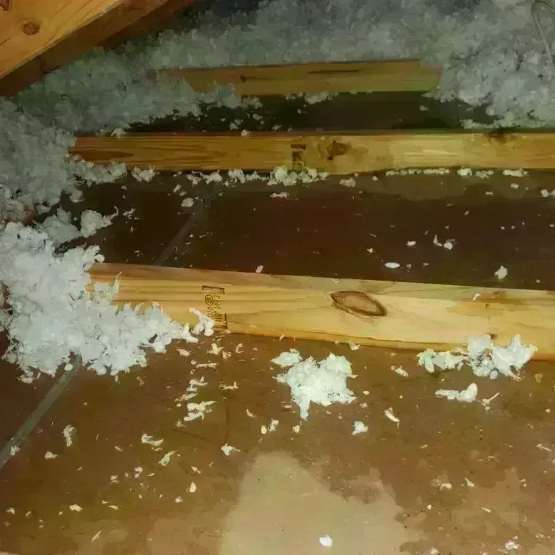 Attic Water Damage in Yacolt, WA